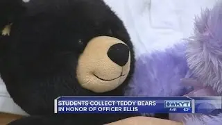 Teddy bear collection