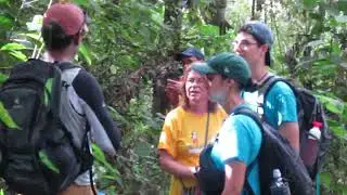 Caminata hacia Machu Picchu - Recorriendo Paisajes en el Inca Jungle Trail