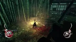 Shadow Warrior - Killer Rabbit :)