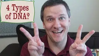 What are the 4 Types DNA?  | Genetic Genealogy Explained