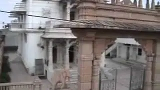 Daru ka adda ur Aahinsa ka Thal,