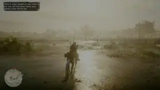 Red Dead Redemption 2 legendary sun gator