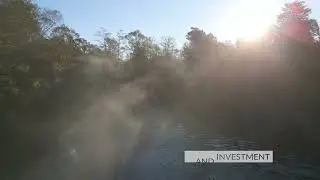Jones County, MS 1001+/- Acres NLR Mark Lewis