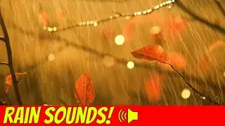Relaxing ASMR Rain Hitting Plants Sounds To Fall Asleep To!