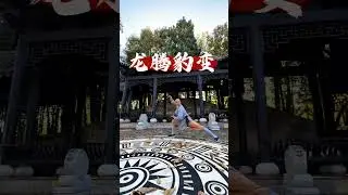 大家要的象形拳来了寻找非遗流行色 百young非遗计划非遗守护人 抖音热点记忆2024 少林延昆