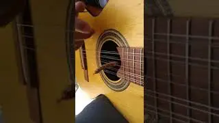 VIOLA CAIPIRA RAIZ | O VIOLEIRO E PIRANGUEIRO
