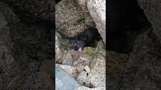 Еще и мордашка недовольная Забирай рыбку, а не злись У самого Охотского моря, Колыма