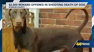 $2,500 reward offered in Spencer County animal cruelty case