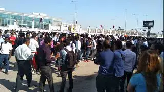 Ali bin ali group |Qatar walk in interview | Private company |
