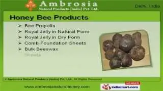 Pure Honey & Beekeeping Equipment by Ambrosia Natural Products (India) Pvt. Ltd, Delhi