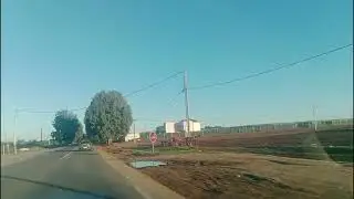 عائشة مايا الباز    ـ aicha Maya El baz