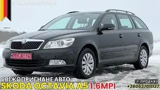 ПРОДАНО!☎️0637011137 8499$ Skoda Octavia A5 1.6MPI 2010! СВІЖОПРИГНАНЕ АВТО З НІМЕЧЧИНИ! ДОСТАВКА