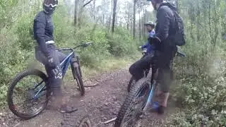 Scout Cycling Team - Delatite River Trail