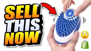 ⭐ TOP 10 BEST WINNING PRODUCTS TO SELL RIGHT NOW (DECEMBER 2020)
