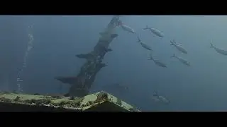 Diving the Atlantis off Destin, FL