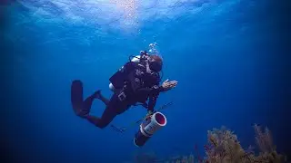 Roatan Lionfish Hunting Expedition with Peter Hughes and Lad Akins | Anthony's Key Resort