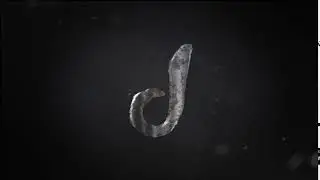 #50 | FanIntro/Test | Ded&hearts;