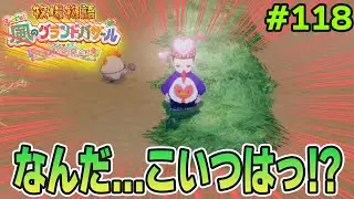 【新作】完全初見で楽しみまくる牧場物語リメイクの新作を実況プレイ！#118【Let's！風のグランドバザール】【ぽんすけ】
