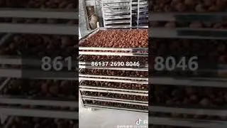 Commercial Litchi Longan Pineapple Fruit Drying Dryer Dehydration Machine