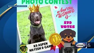 New Hampshire Fish and Game K-9 wins Vermont Police Canine Association's photo contest
