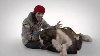 Create Memories Dog Walking