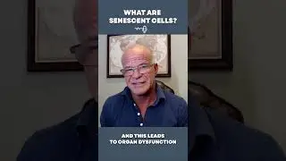 What Are Senescent Cells?