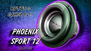 Обзор Сабвуфера DL Audio Phoenix Sport 12