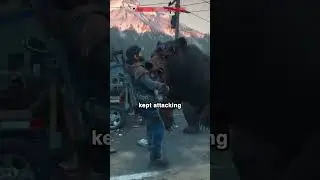 Bear attack | Days Gone