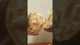 Consommez le fruit du baobab?