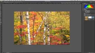Alien Skin Snap Art with Foliage