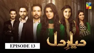 Diyar e Dil Episode 13 HUM TV Drama