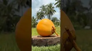 Cool Summer Refreshment