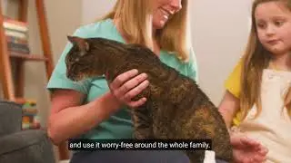 How to Use Wondercide Flea & Tick Spot On for Cats + Dogs &ndash; Made with Natural Essential Oils