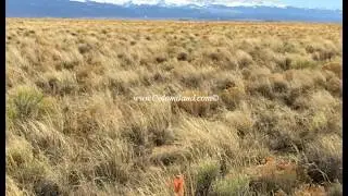 Mt Blanca Valley Ranches