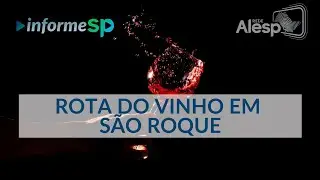 Como a Rota do Vinho contribui para o desenvolvimento econômico, a geração de emprego na região