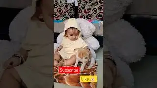 ✨️Baby and Puppy Cute Friendship ❤️ | Best Bond Ever #effectking #shorts #rudragiggles #shortsfee