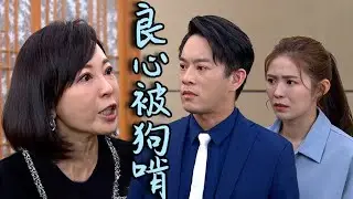 天之驕女│EP231 明鳳不滿尚豪不顧父子情 破口大罵斥良心被狗啃 Proud of You│ Vidol.tv
