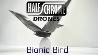 Полухромированные дроны: Bionic Bird &mdash; уникальный дрон