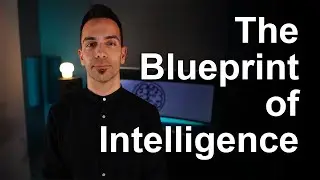 What the human brain can teach the future of AI