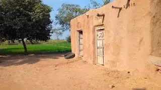 Village Life Vlog | Farm Tour 🌾 | Chai Samosa Break ☕🥟 | Peaceful Desi Routine