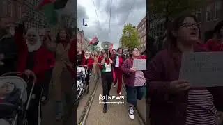 Dutch MP joins mass protest in Amsterdam in support of Gaza