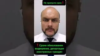 Сроки обжалования выдворения, депортации иностранных граждан, мигрантов из России. Миграция. Юрист