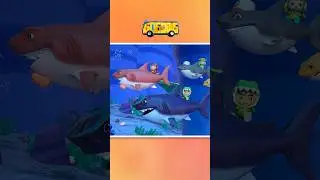 🎵 Baby Shark Doo Doo Doo! | GoGoBus Shark Song 🚌#shorts #nurseryrhymes #kidssong #gogobus