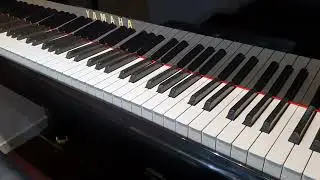 fortepian Yamaha Disklavier PianoDisc Frank Sinatra New York PIANOROLF