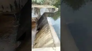 Check Dams Construction #shorts #youtube #shortvideo
