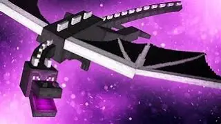 Dream's 5 Hunters Ender Dragon Glitch EXPLAINED