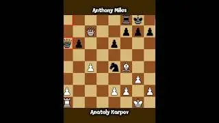 Anatoly Karpov vs Anthony Miles ◉ BBC TV Master Game (1977) | Positional Masterclass 