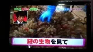 小山慶一郎