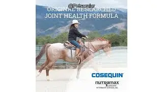 Nutramax Cosequin Joint Health Supplement Review: Does It Really Support Your Horse&rsquo;s Mobility?
