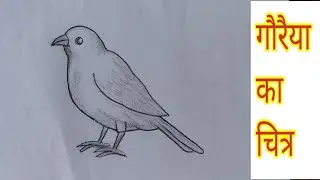 Learn to draw a sparrow // sparrow drawing // sparrow drawing // how to draw a sparrow